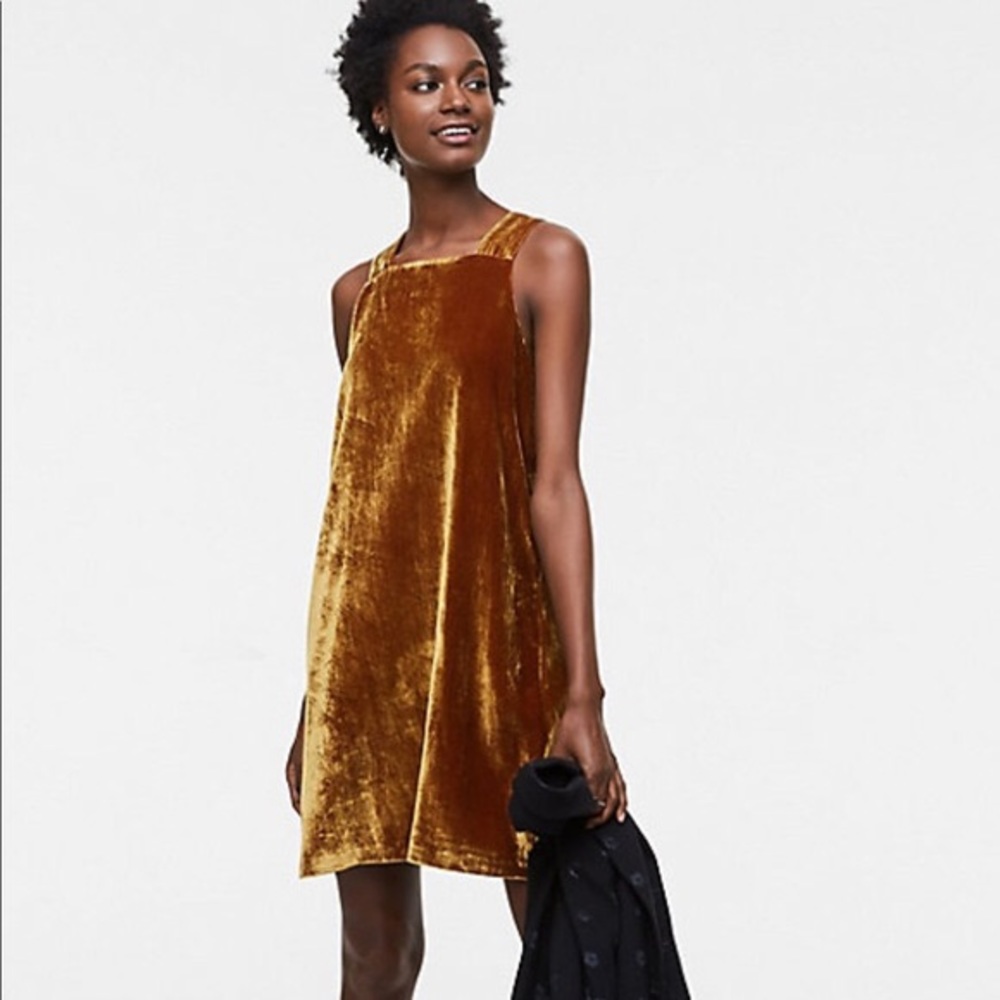 NWT loft velvet dress